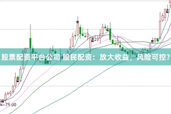 股票配资平台公司 股民配资：放大收益，风险可控？