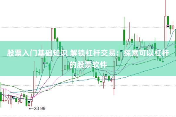 股票入门基础知识 解锁杠杆交易：探索可以杠杆的股票软件