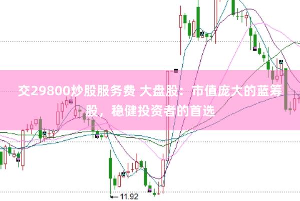 交29800炒股服务费 大盘股：市值庞大的蓝筹股，稳健投资者的首选