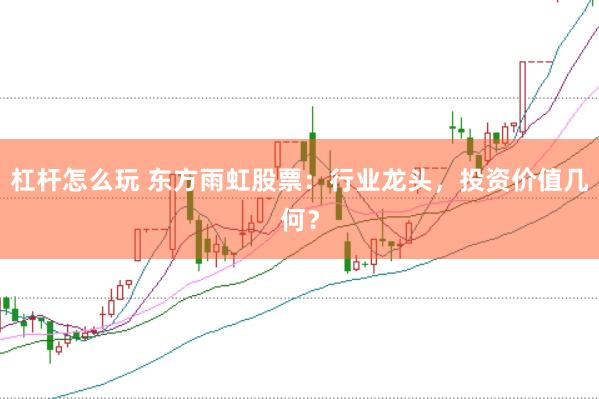 杠杆怎么玩 东方雨虹股票：行业龙头，投资价值几何？