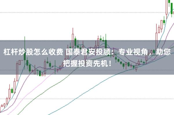 杠杆炒股怎么收费 国泰君安投顾:专业视角,助您把握投资先机!