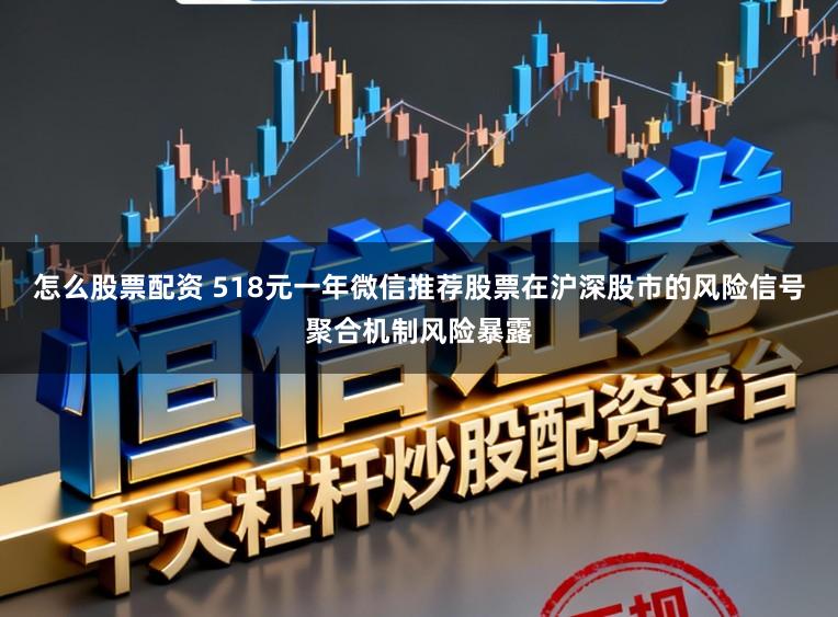 怎么股票配资 518元一年微信推荐股票在沪深股市的风险信号聚合机制风险暴露
