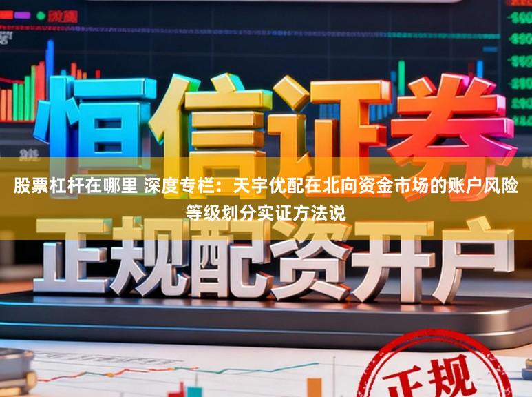 股票杠杆在哪里 深度专栏：天宇优配在北向资金市场的账户风险等级划分实证方法说