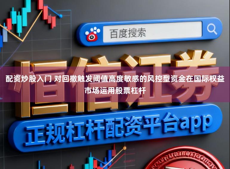 配资炒股入门 对回撤触发阈值高度敏感的风控型资金在国际权益市场运用股票杠杆