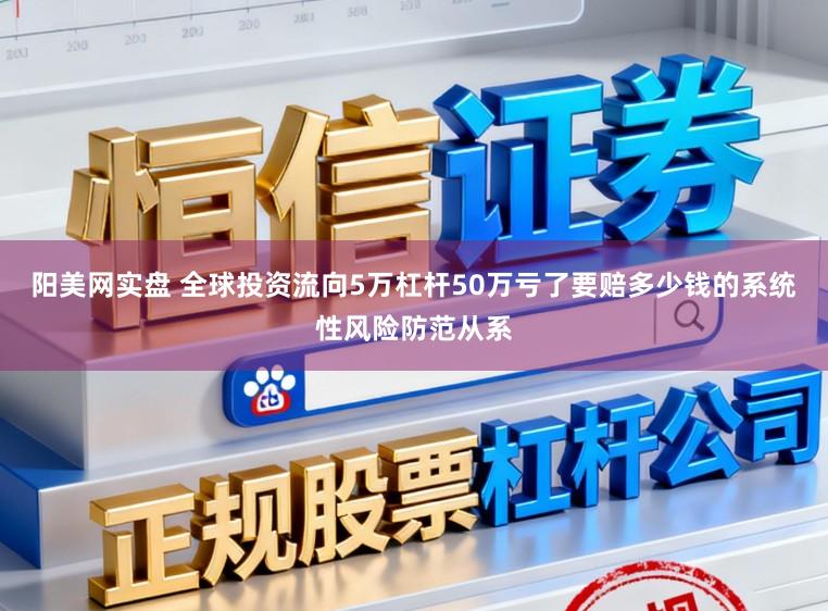 阳美网实盘 全球投资流向5万杠杆50万亏了要赔多少钱的系统性风险防范从系
