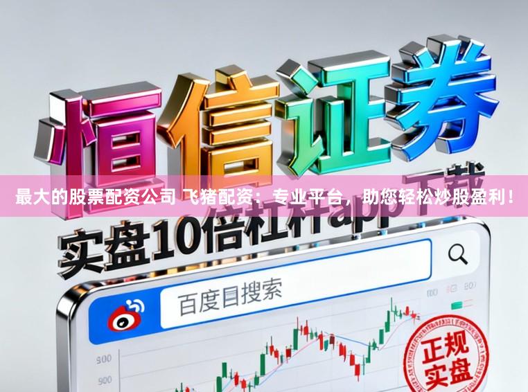 最大的股票配资公司 飞猪配资：专业平台，助您轻松炒股盈利！